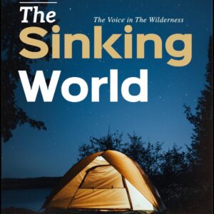 the sinking world